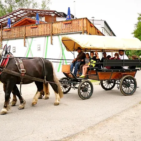 Wildgatter Ferienappartements Holiday park