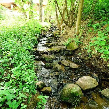 Wildgatter Grafenwiesen