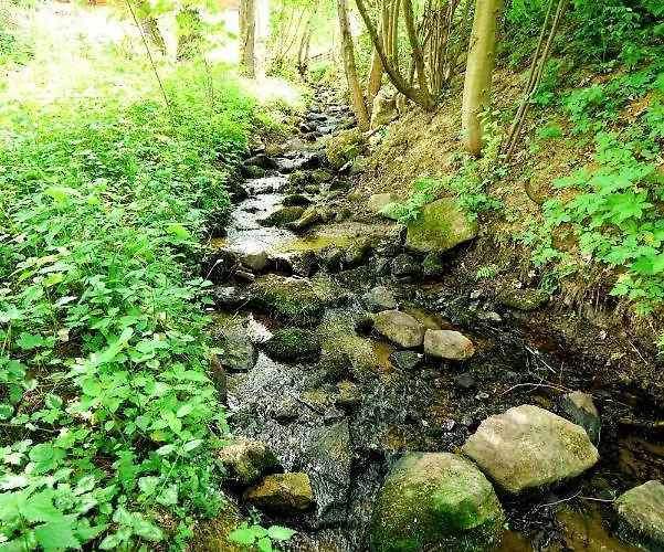 Wildgatter Grafenwiesen