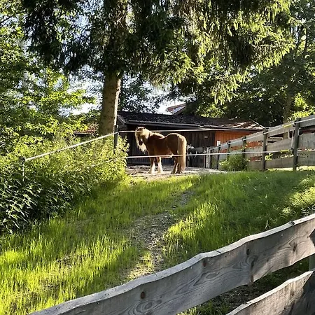 Wildgatter