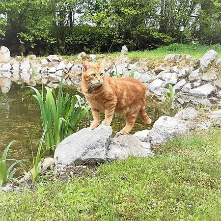 Feriepark Wildgatter