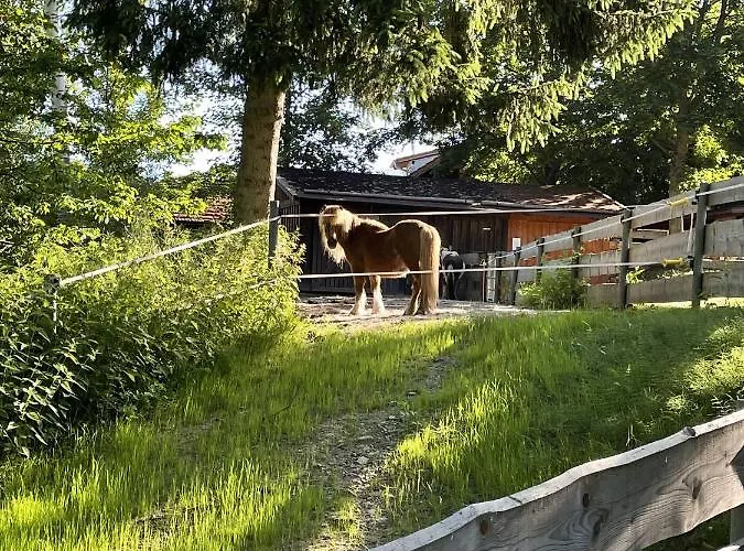 Wildgatter
